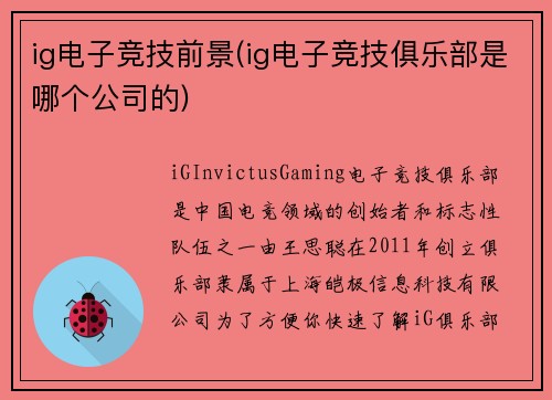 ig电子竞技前景(ig电子竞技俱乐部是哪个公司的)